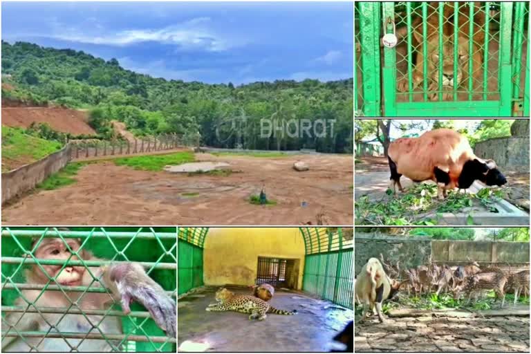 thrissur zoo  kerala zoological park  wildlife stories  zoological park  സുവോളജിക്കൽ പാർക്ക്  പുത്തൂർ സുവോളജിക്കൽ പാർക്ക്  തൃശൂർ സുവോളജിക്കൽ പാർക്ക്