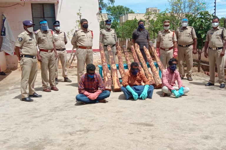 smugglers carrying 8 red sandal blocks were arrested by peleru ci in chittoor district