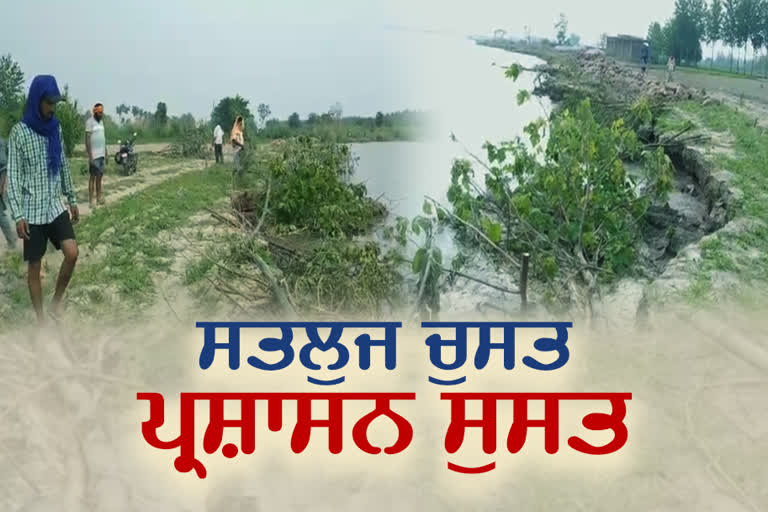 Sutlej water damages land in Ropar villages