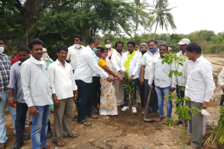 మహబూబాబాద్‌ జిల్లాలో ఆరో విడత హరితహారం