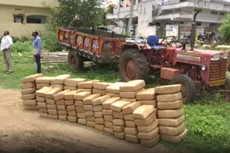 440 kilograms of ganjai caught by khammam task force poice