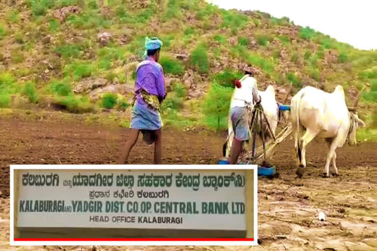 ರೈತರ ಪಾಲಿಗೆ ಶಾಪವಾದ ಡಿಸಿಸಿ ಬ್ಯಾಂಕ್