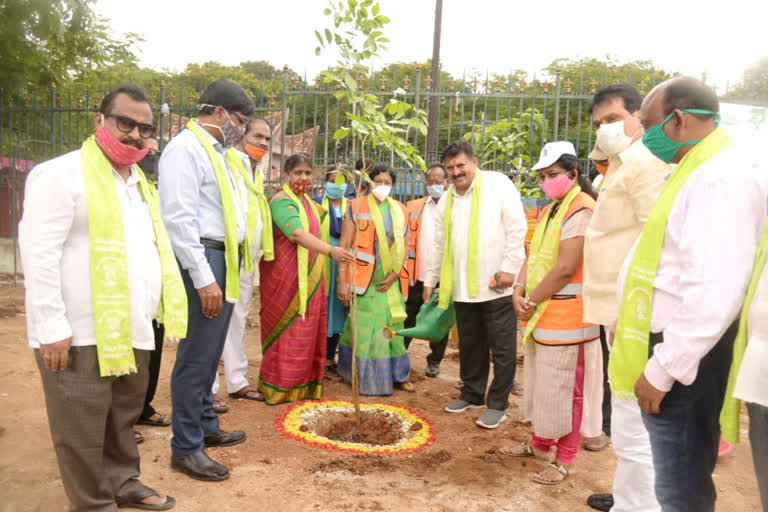 mla muta gopal planted plant at ntr stadium in hyderabad