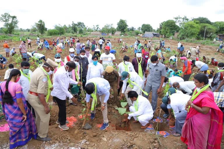 35 రకాల 4 వేల మొక్కలు నాటించిన ఎమ్మెల్యే