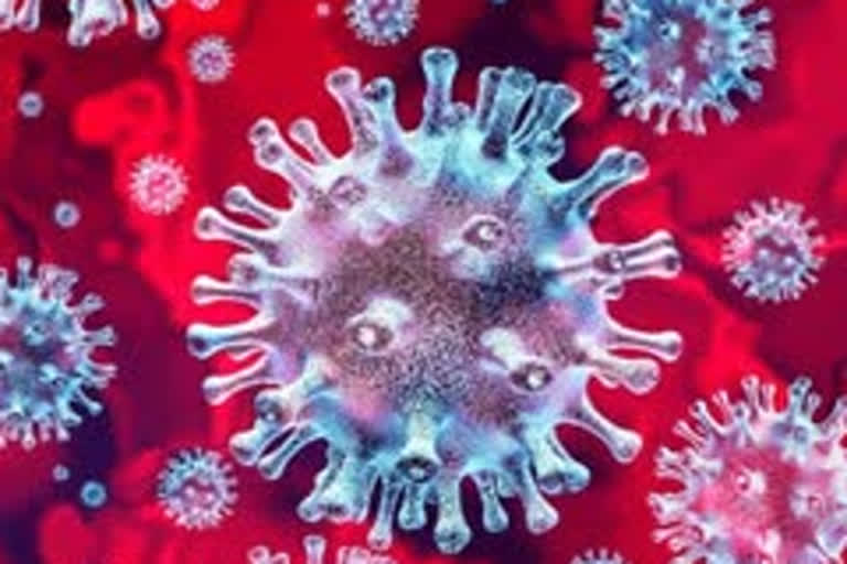 record new corona virus case come in jhajjar