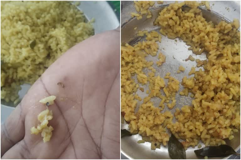 Worm in the food of the Bagalakote Quarantine Center