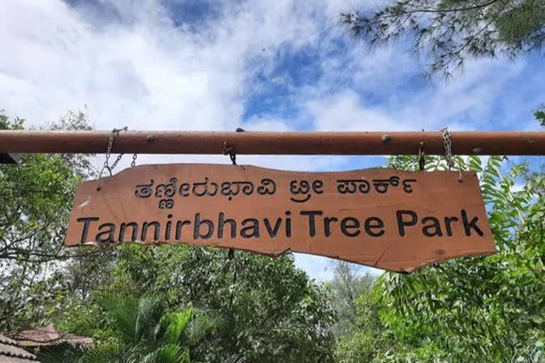 Tannirbhavi Tree Park