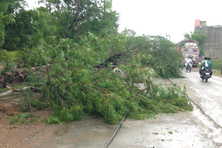 Thunderstorms and storms in Sheopur