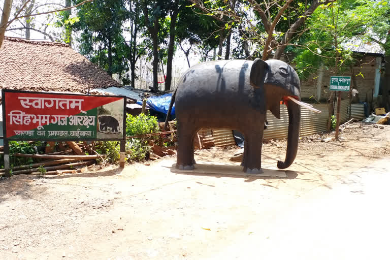 forest department making villagers aware to save elephants from electricity