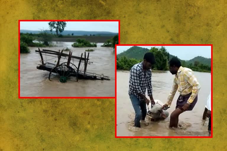 Bull died at vankidi in asifabad district