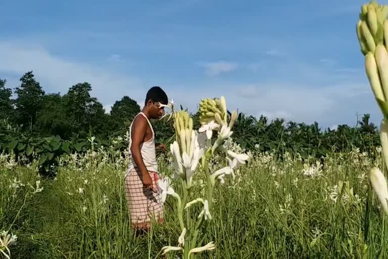 Farmer Verious Lost for Lock Down At Baksha