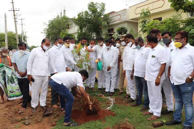 mla mahipal reddy participated in haritha haaram