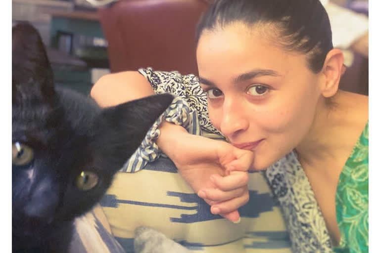 alia bhatt welcome new pet cat to her fans