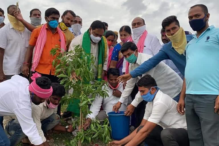 పుట్టిన రోజు సందర్భంగా మొక్కలు నాటిన మంత్రి ఎర్రబెల్లి