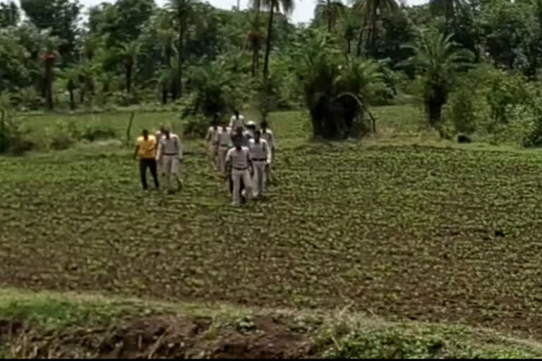 Shajapur Kotwali police caught a container full of bovine