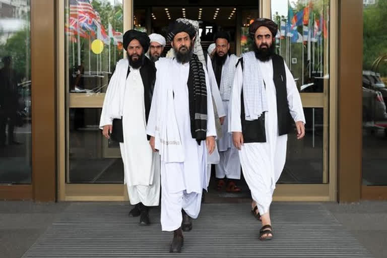 Taliban