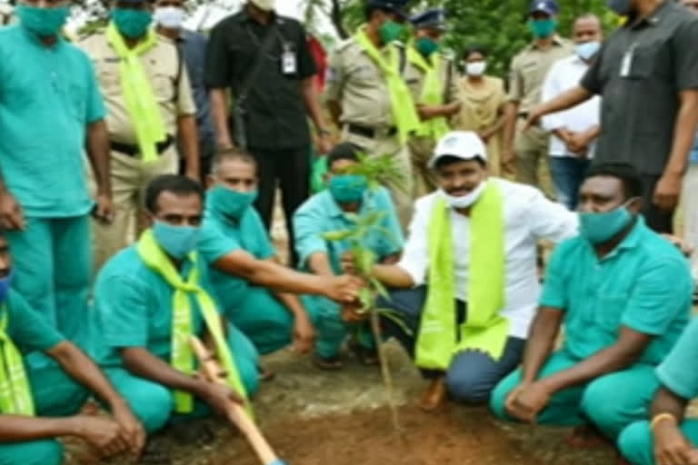 Rajyasabha MP Joginipalli Santosh Kumar planted plants in Charlapalli Jail