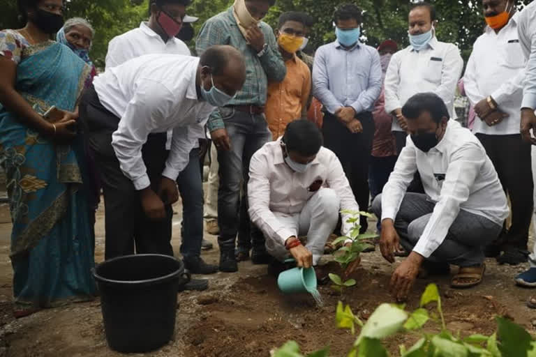 ramagundam MLA Korukanti Chandar planted plants at Ramagundam Municipality