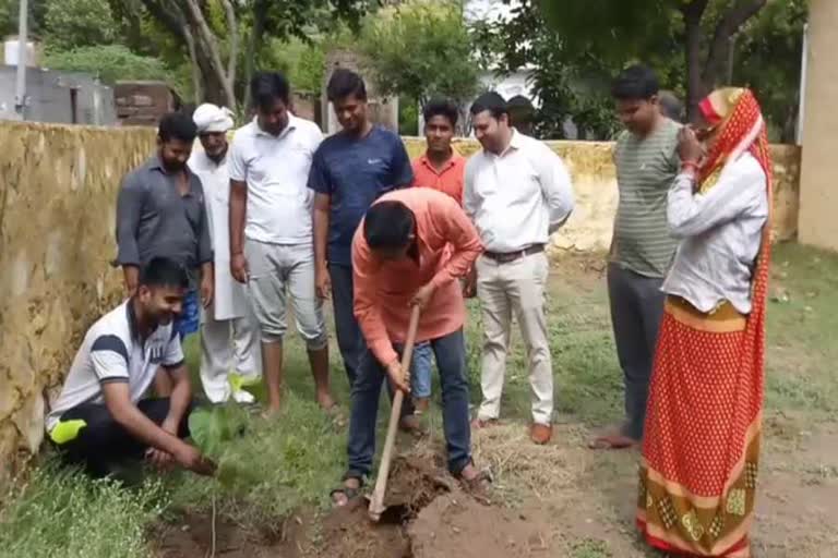 A young man planted a tree in Sohna on his birthday