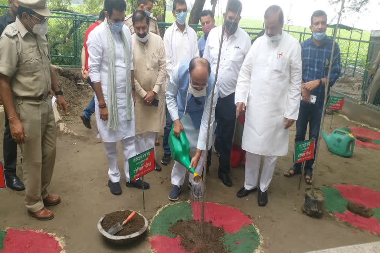 Cabinet Minister Siddharth Nath Singh and MP Mahesh Sharma planted saplings in Noida