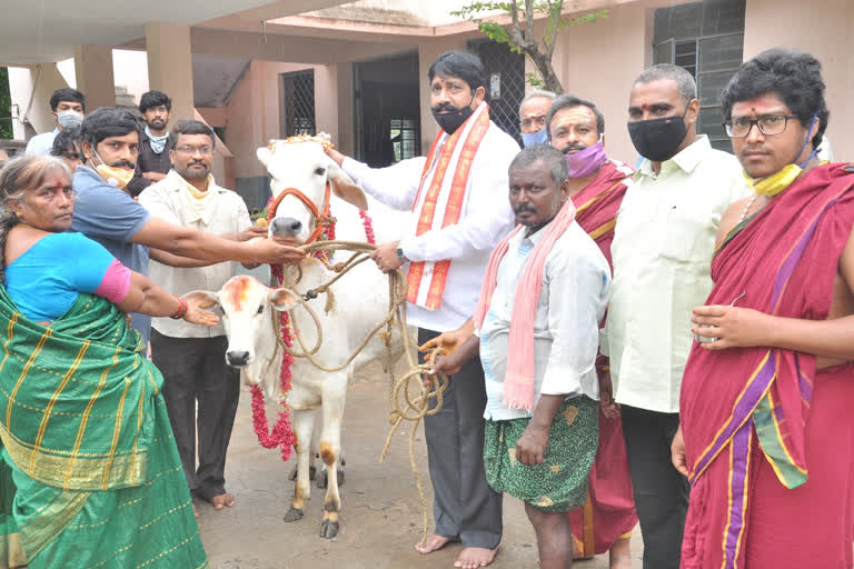 cow and calf giving as gift to srivalli devasena sametha subrahmanya swamy temple in krishna district