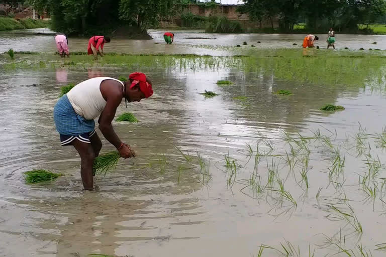 गोपालगंज