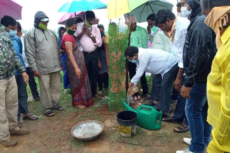 జోరు వానలోనూ మొక్కలు నాటిన జడ్పీ ఛైర్మన్​