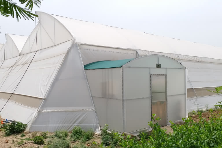 Rajasthan first vegetable center of excellence is ready in bundi