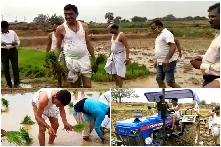 MP Sanjay Seth planting paddy with farmers in ranchi, MP Sanjay Seth planting paddy in ranchi, news of jharkhand farmers, रांची में सांसद संजय सेठ किसानों के साथ धान रोपते नजर आए, सांसद संजय सेठ ने रोपा धान, झारखंड के किसानों की खबरें