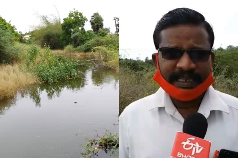 திருவாரூர்  திருவாரூர் செய்திகள்  thiruvarur news  கொல்லுமங்குடி நாட்டாறு  kollumaangudi naataru