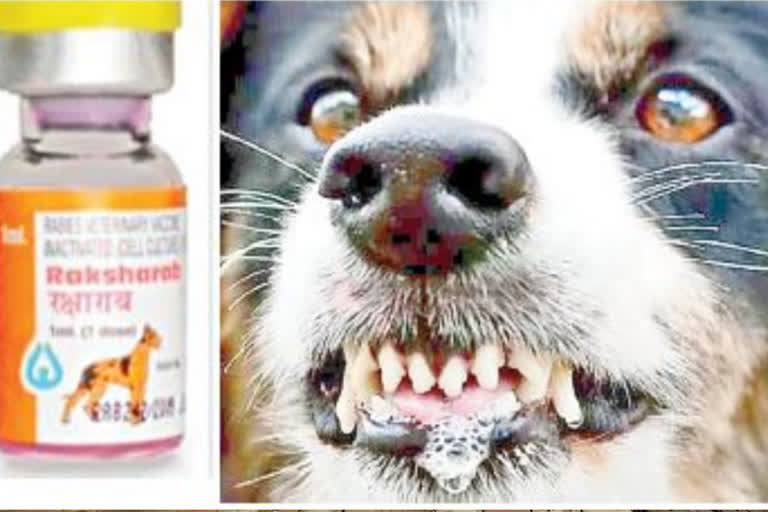 Rabies vaccine