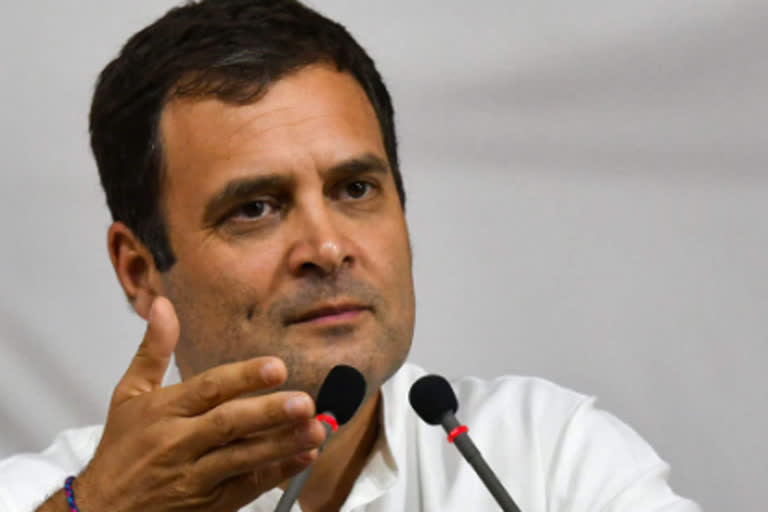 Future Harvard case studies on failure to tackle COVID-19, demonetisation and GST: Rahul Gandhi