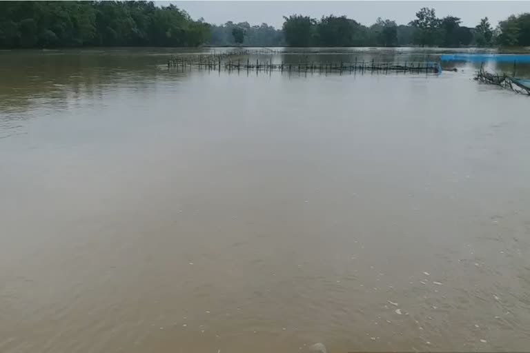 ASSAM FLOOD OVERALL REPORT