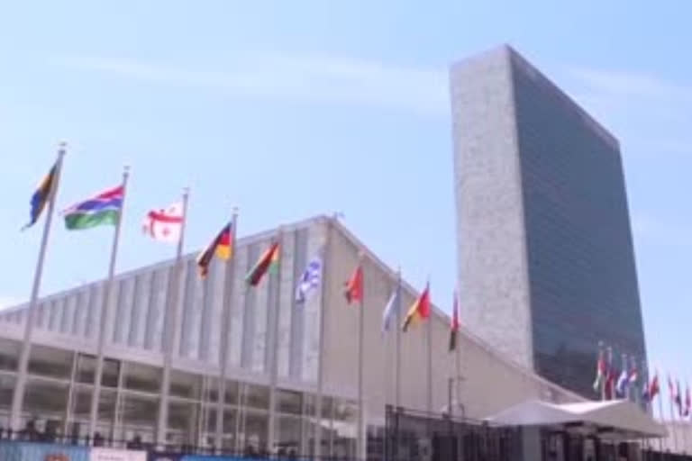 India 'very responsible' player in global fora, can galvanise action as UNSC member: UN official