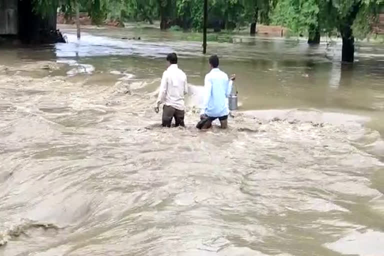 villagers-crossing-drain-putting-their-lives-at-risk-in-shajapur