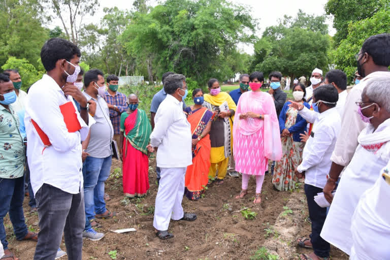 collector harichandana participated haritha haram program at narayana peta district