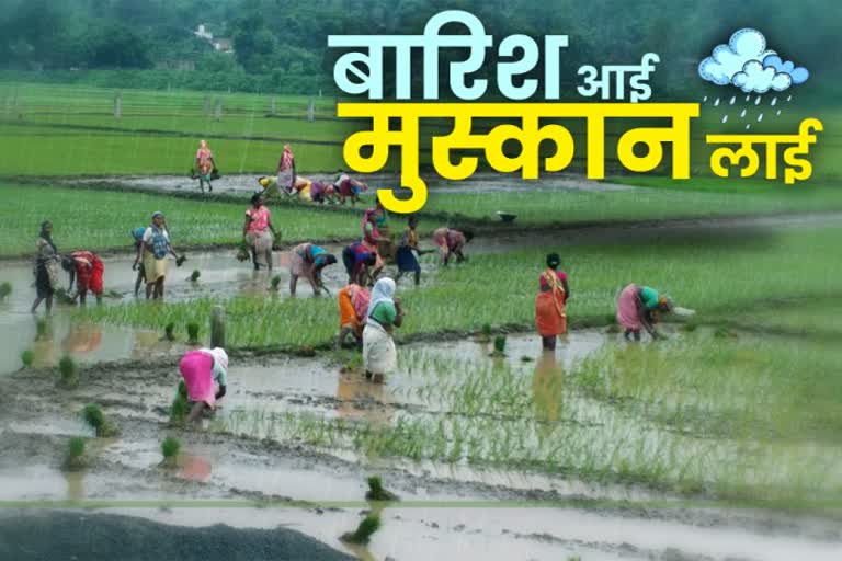 Paddy transplantation started in Sahibganj