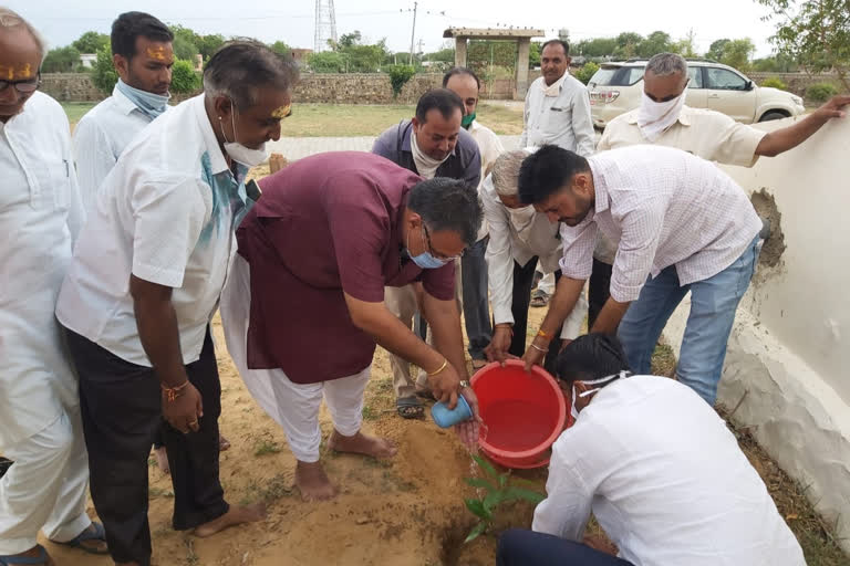 jalore news, डॉ. श्यामा प्रसाद मुखर्जी की जयंती, Plantation program organized in raniwara