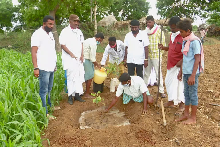 Karnataka: This village plans to plant 2500 trees for future generation!