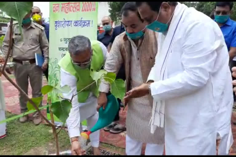 CM Trivendra did plantation