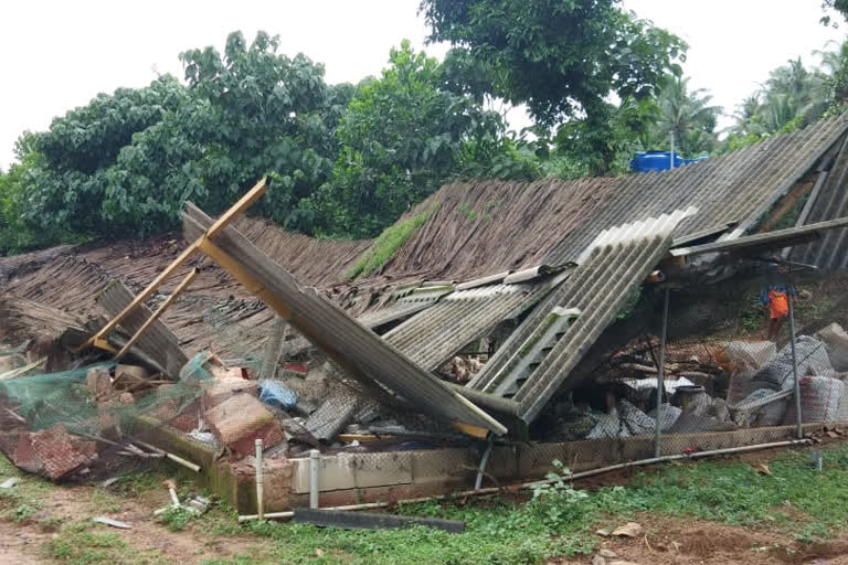 Poultry farm collapsed... lakhs worth chickens died in Incident