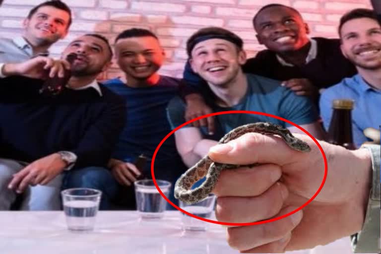 Austria: bachelor party ends with snake-bitten tongue