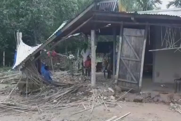 Wild Elephant terror at Sonitpur