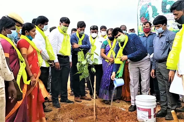 sangareddy-district-collector-hanumath-rao-in-haritha-haram-programme-at-kondapur-mandal