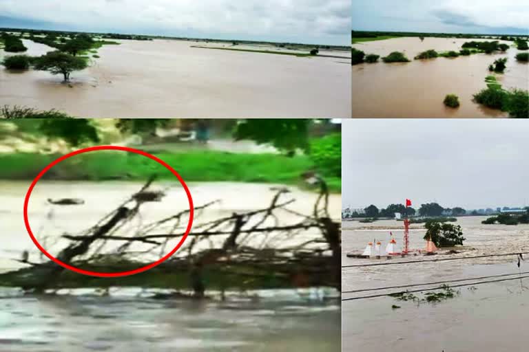 heavy-rain-at-keshod-in-junagadh