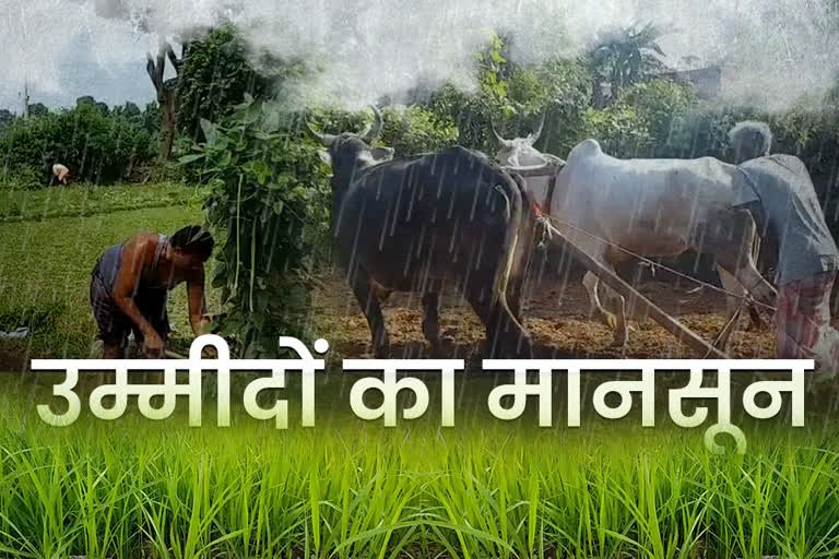 Good monsoon will benefit farmers in ranchi