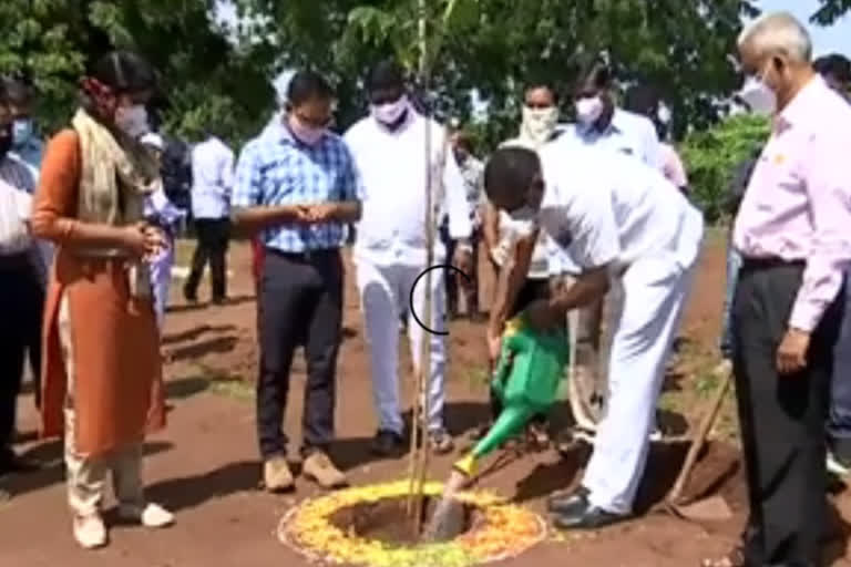 Karimnagar mayor participated in harithaharam in shatavahana university