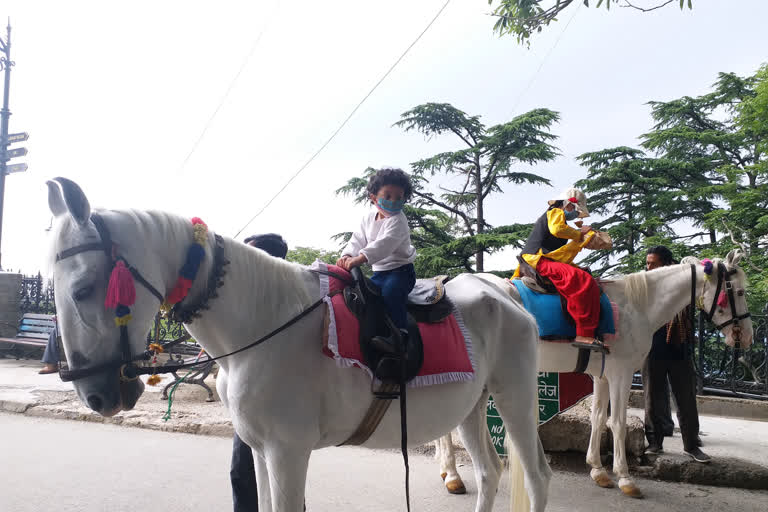 Horse riding in shimla, शिमला में घुड़सवारी