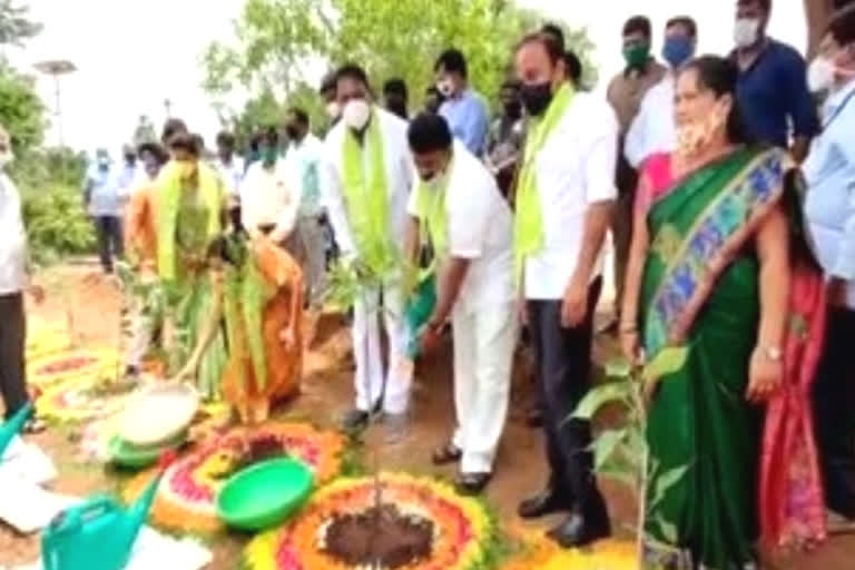 minister talasani srinivas yadav participated in harithaharam programme in rangareddy district