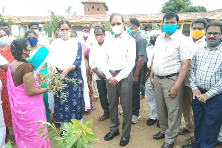 medak mla padma devender reddy participated in harithaharam programme